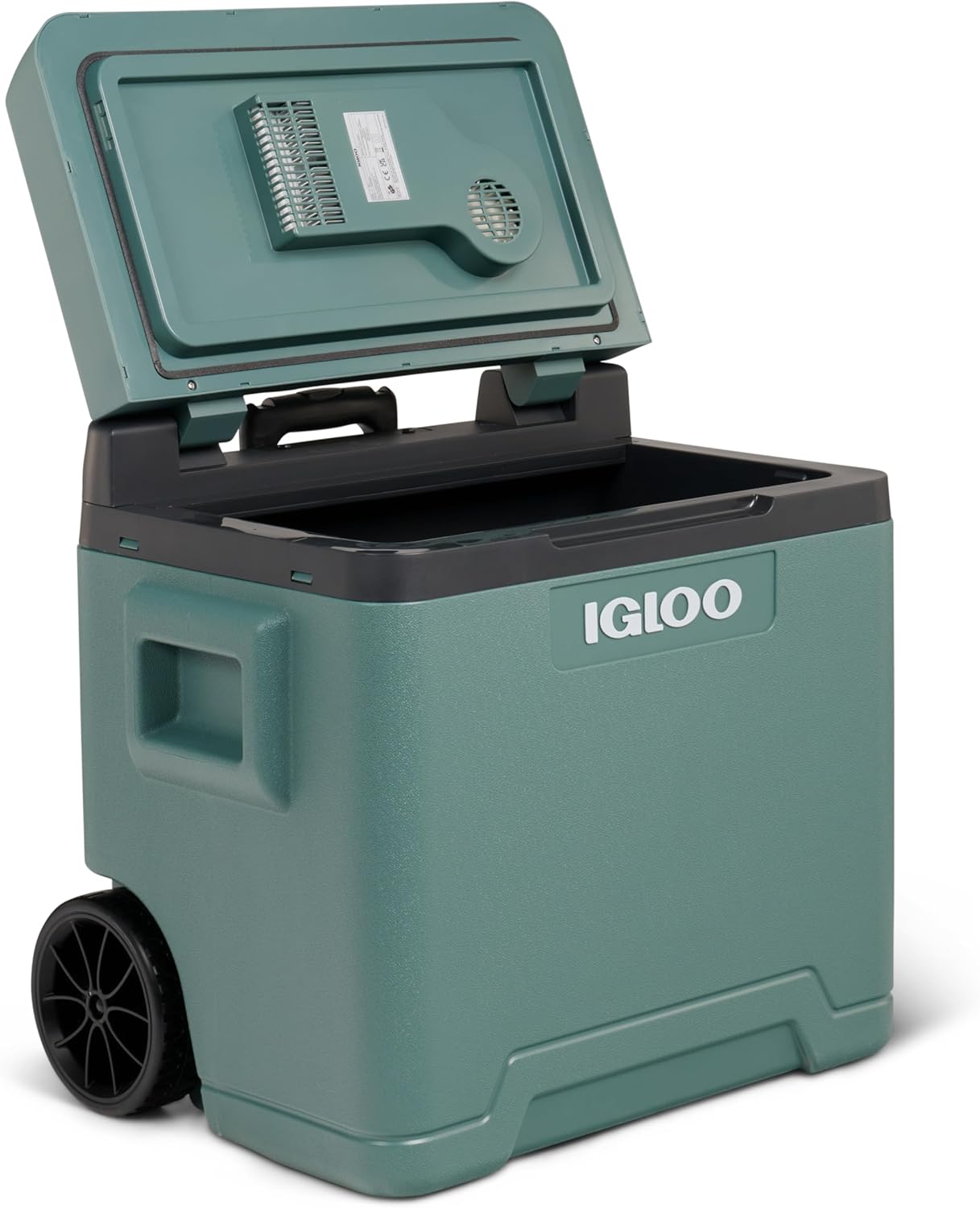 Igloo - Glacière électrique - grande capacité, portative, refroidissement rapide