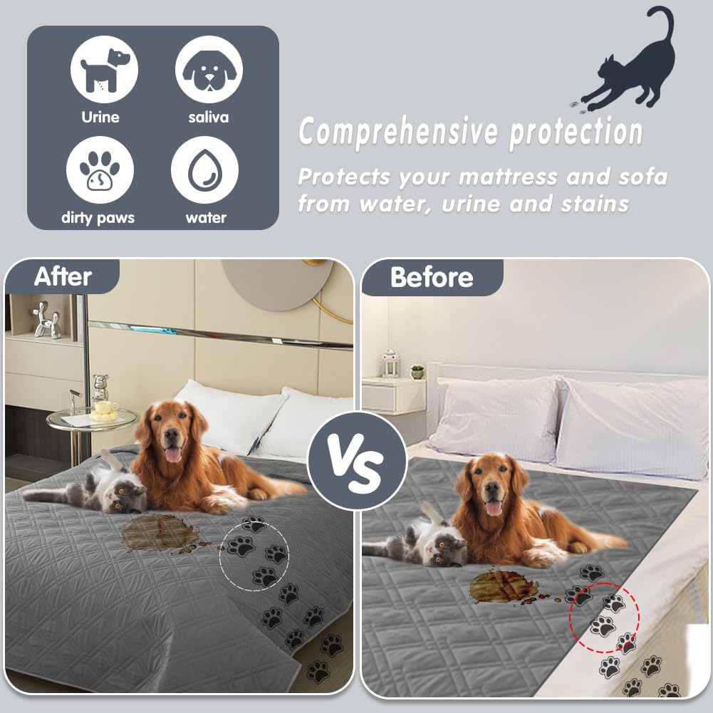 DUJUIKE - housse canapé imperméable antidérapante, gris, 76-180cm