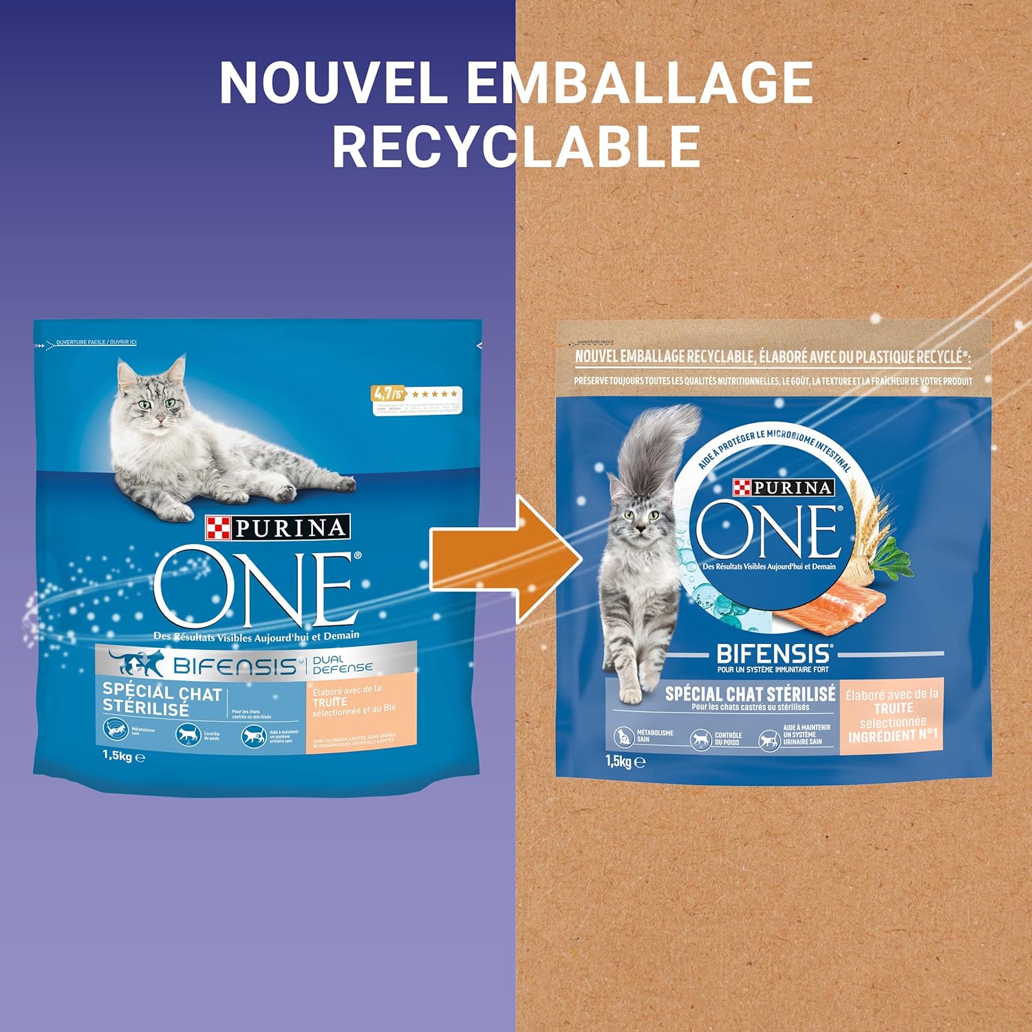 Purina One – Bifensis – 6x1,5kg – Soutient immunité, équilibre urinaire