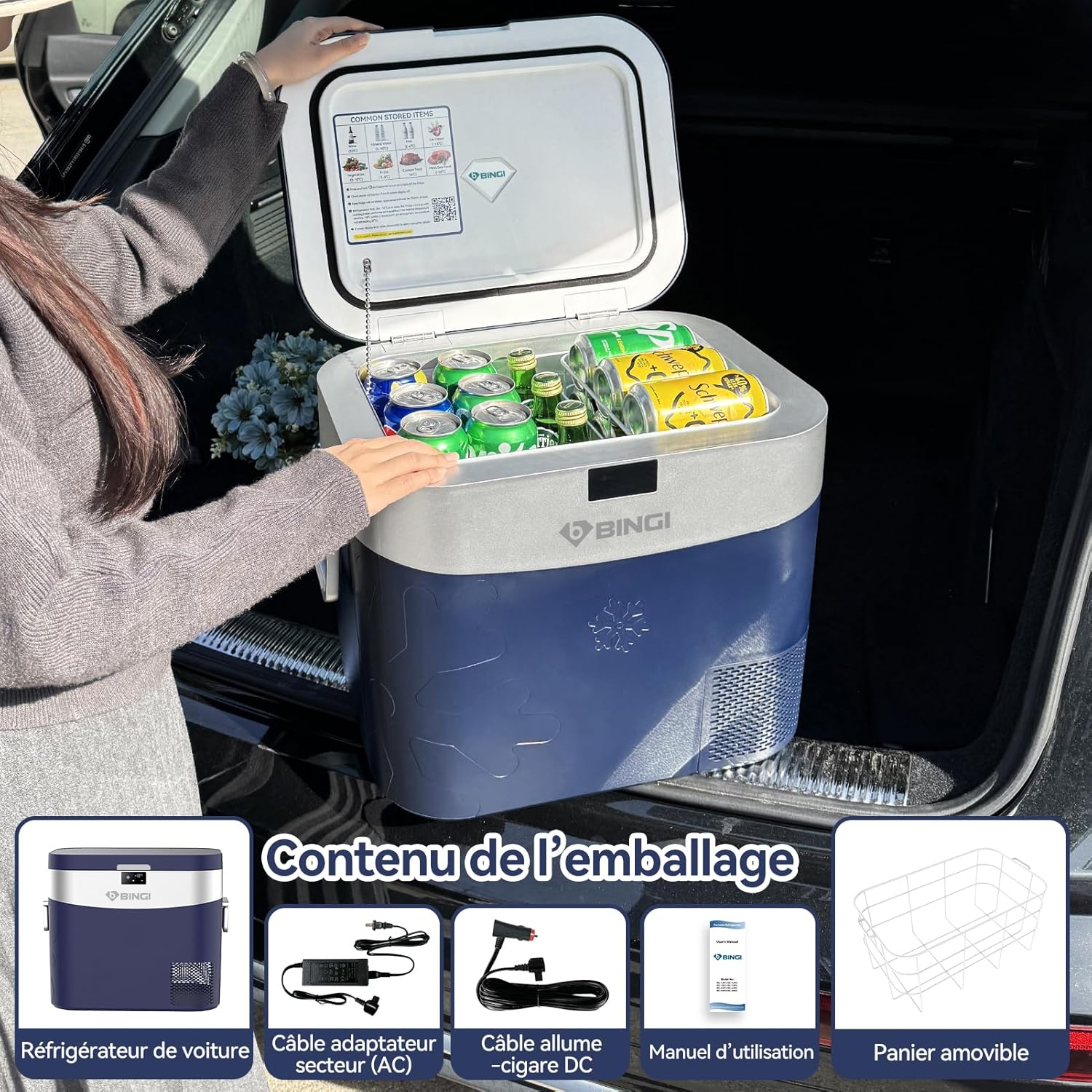 BINGI - Réfrigérateur voiture série compression 22L -18°C à +20°C