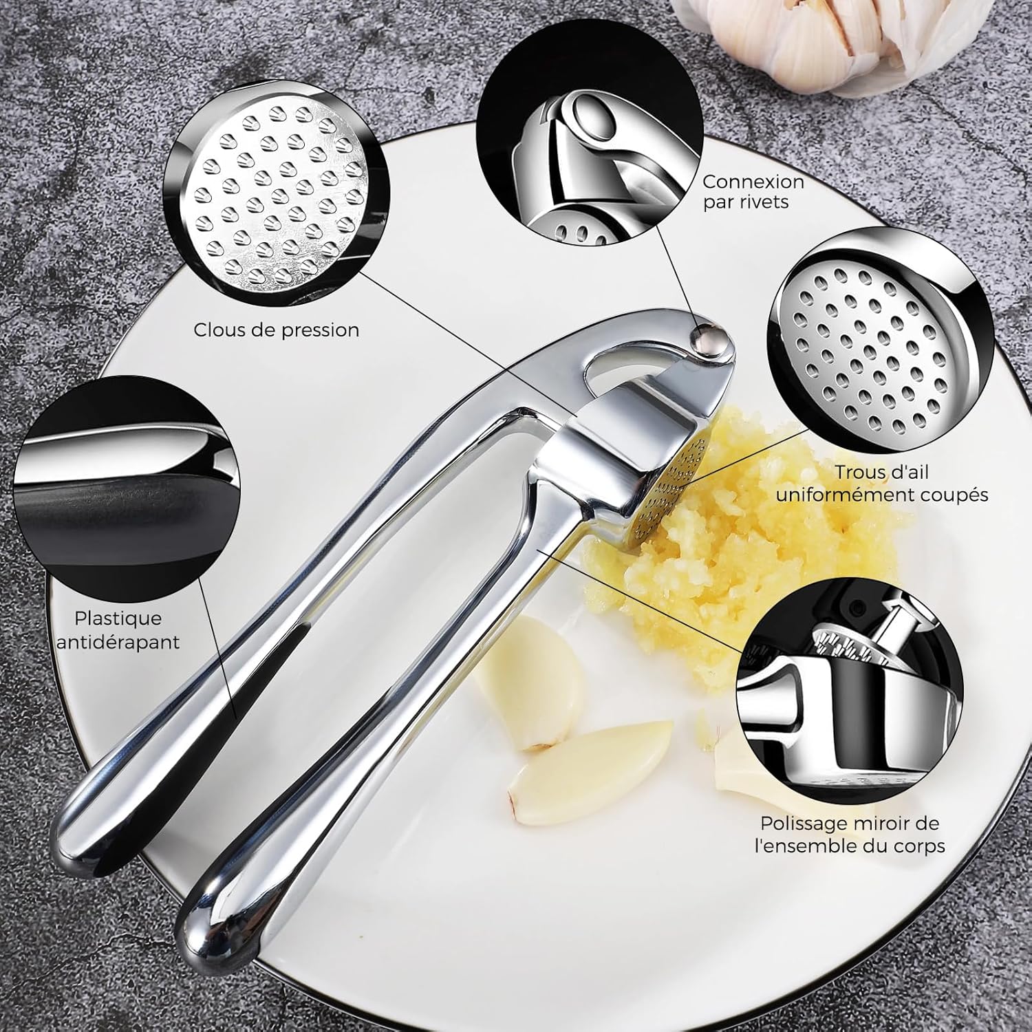 Presse-ail inox - facile à nettoyer, durable, argenté, professionnel
