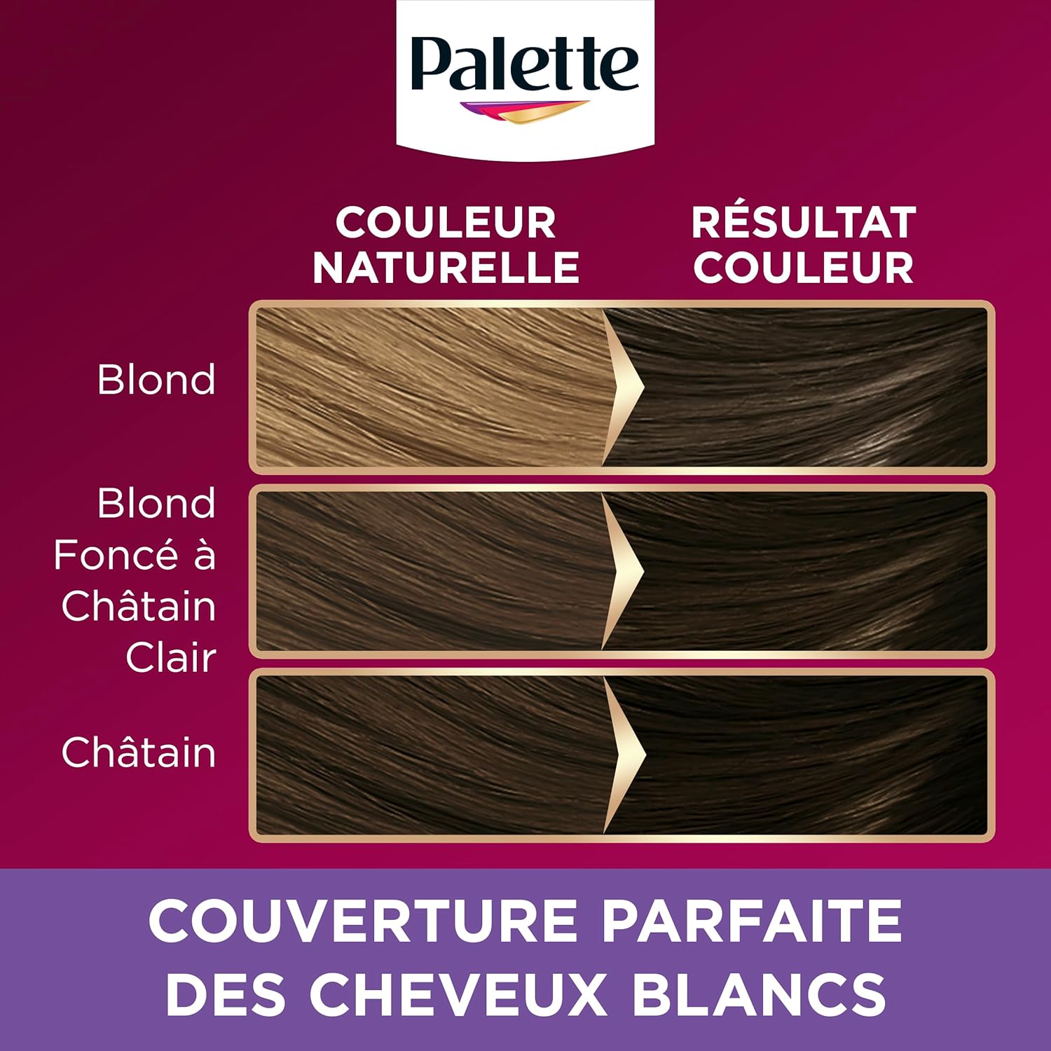 Palette - Coloration Permanente Cheveux - couvre 100% cheveux blancs - tenue 8 semaines - Noir 900