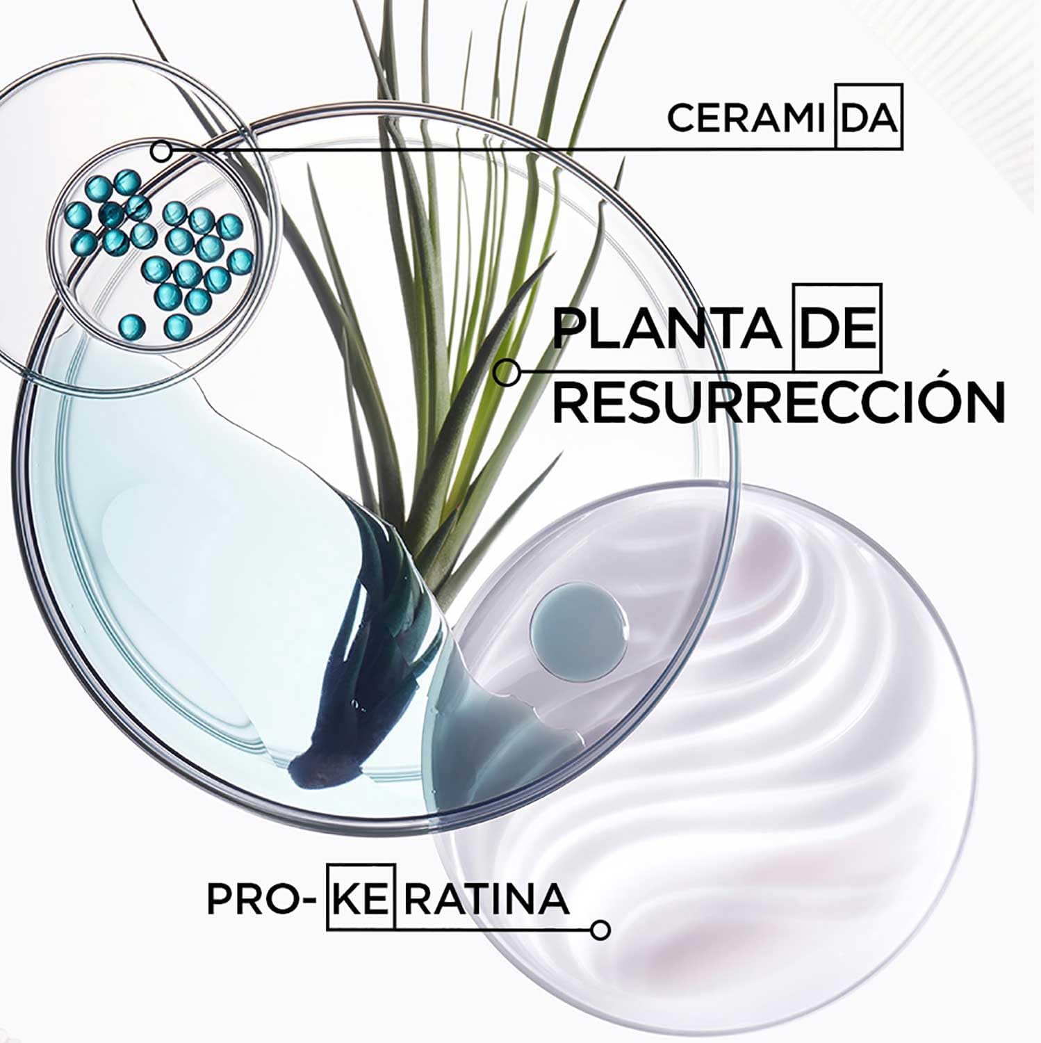 Kérastase - Résistance Masque - 200ml - fortifiant, réparateur cheveux abîmés