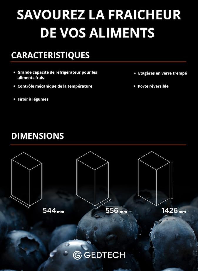 GEDTECH - Réfrigérateur simple, 230L, Classe E, porte noire, GSP230BL