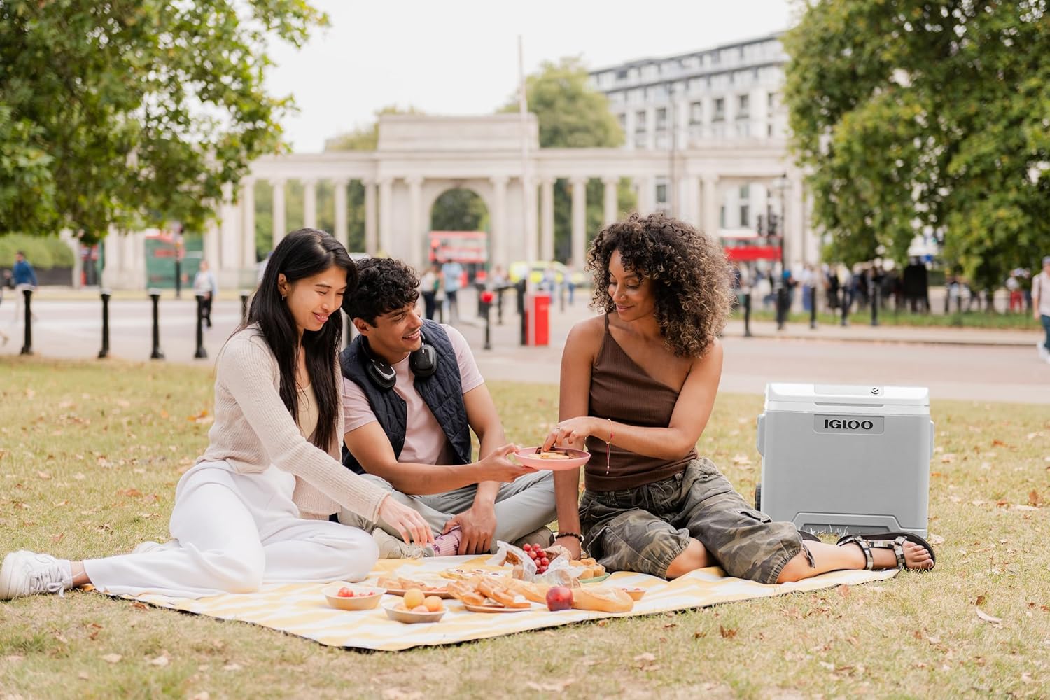 IGLOO - Glacière électrique portative - grande capacité, prise 12V