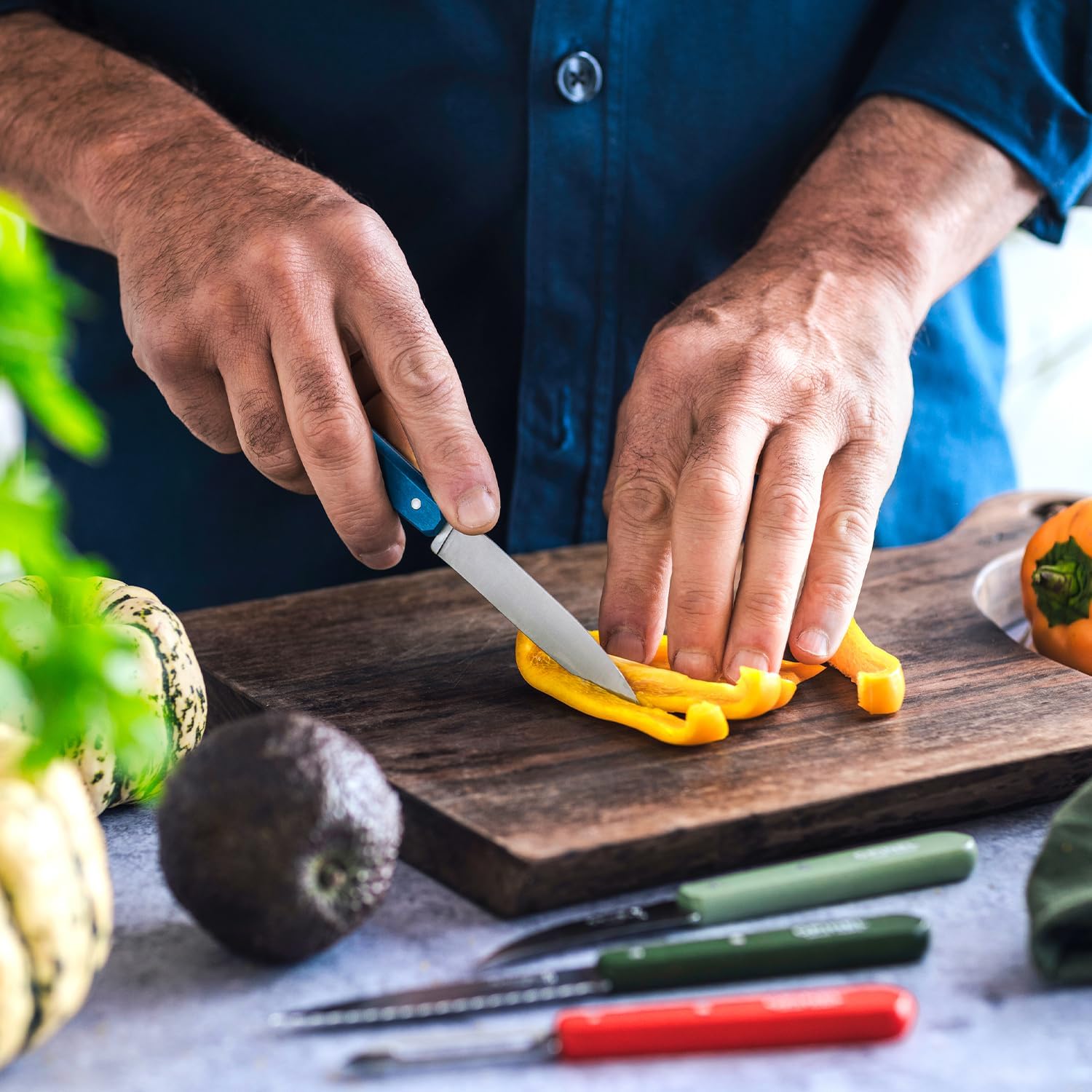 Opinel - Coffret N°112 - 4 couteaux 10cm - lame inox, fabrication française