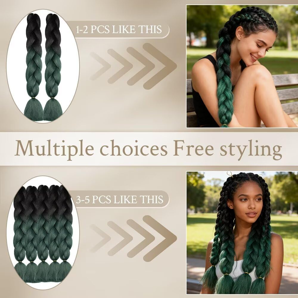 ShowJarlly - Ombre Jumbo Braids 24