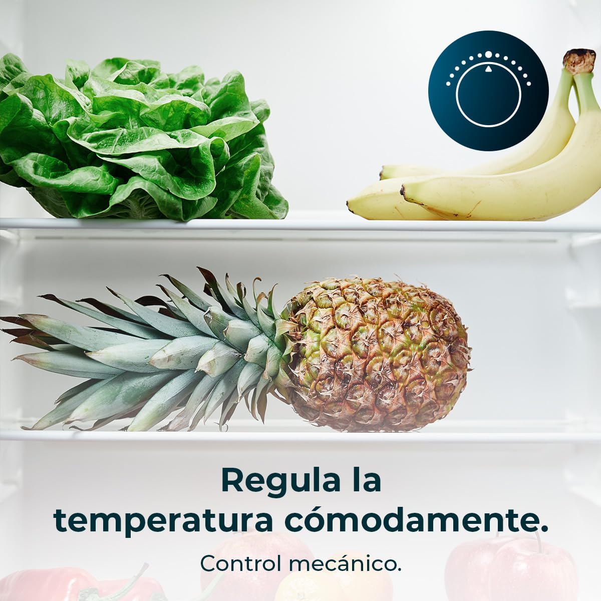 Cecotec - Bolero CoolMarket TT - 114L compact, classe E, porte réversible, TT114L Black